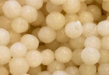 Researcher explores waste-based feed protein production