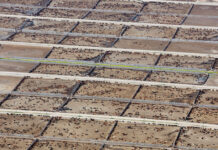 Yeni araştırma: Endüstriyel hayvancılık iklim hedeflerini zorluyor