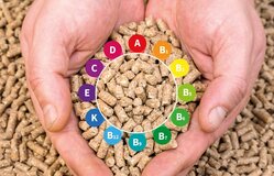 Global Feed Vitamins Market and Trends