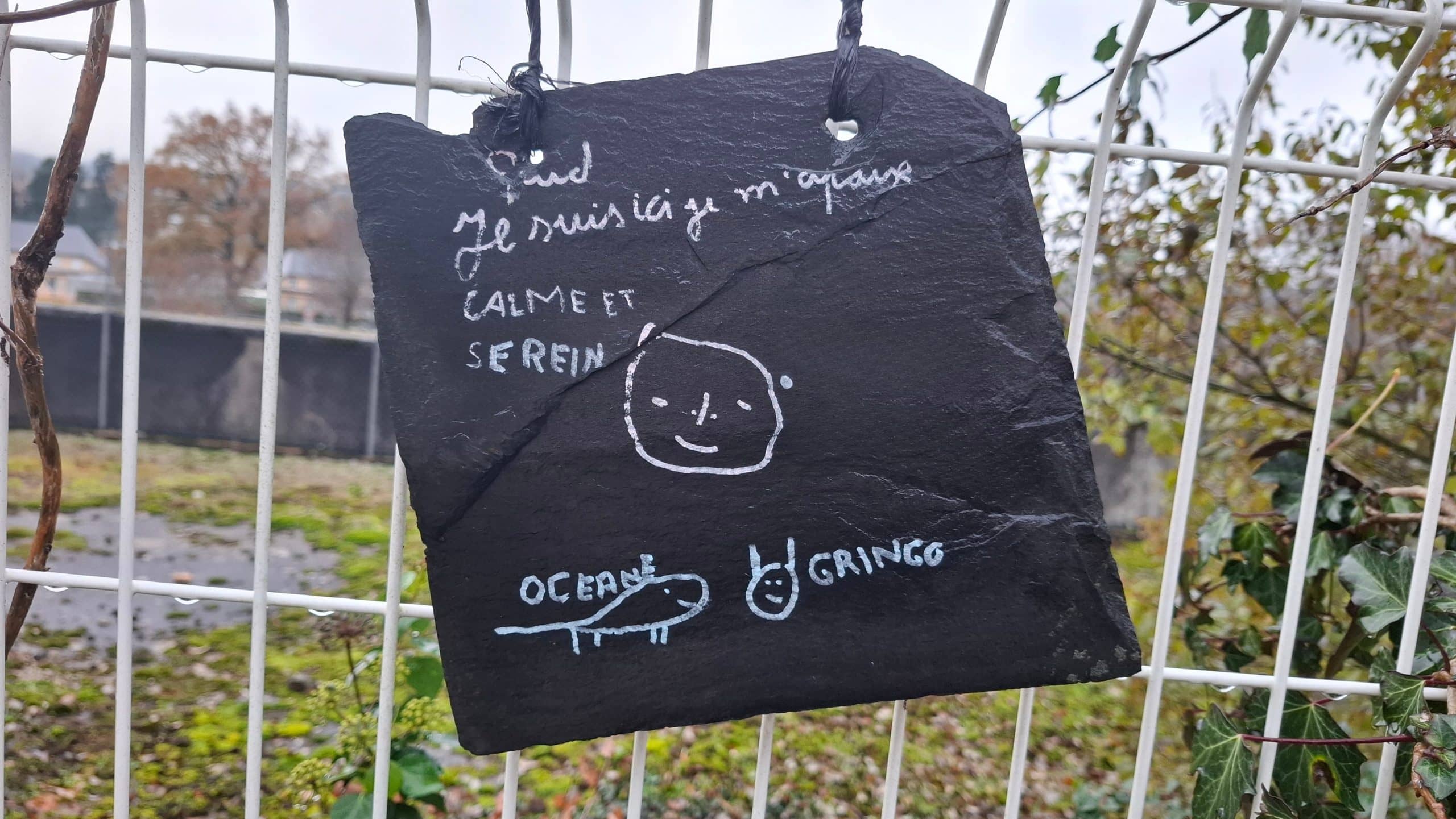 L'ardoise de souvenir réalisée par un patient, en pensant à Océane et Gringo, deux retraités de l'Équithérapie d'ICM.