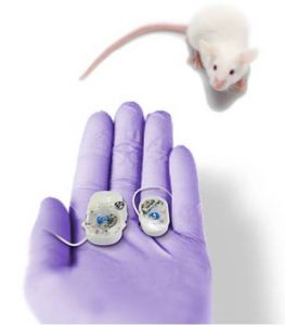 two iPRECIO pumps, one each of SMP-200 and SMP-310R held in a hand with a mouse looking at it