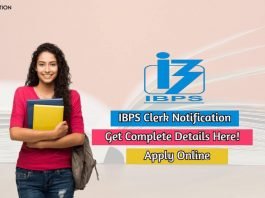 ibps clerk notification