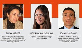 FutureEUaqua and sustainable innovative tailor-made fish diets