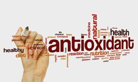 Global Feed Antioxidants Market