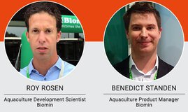 Global warming promises to change fish and shrimp farming