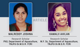 Is fish gut microflora influenced by inulin?