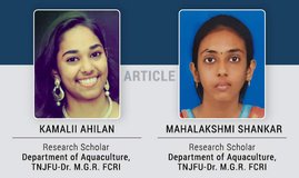 The play of propolis: A novel component in fish feed