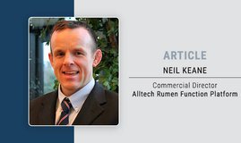 How do we verify sustainable animal feed in ruminant production?