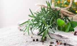 Global Phytogenic Feed Additives Market