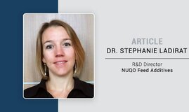 RESILIENT APPROACH TO REDUCE DAMAGES FROM STRESS AND SUPPORT PERFORMANCE