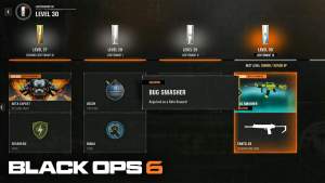 Black Ops 6 Customization Guide