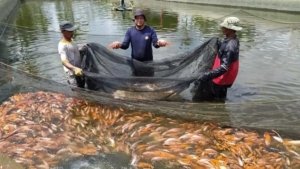 6 langkah untuk memulai