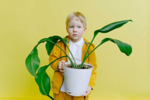 8 Buzz Mistakes That Will Cost You m Over The Next 10 Years