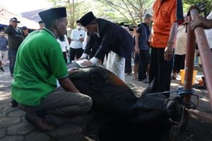 Walikota Makassar Saksikan Pemotongan Hewan Kurban dan Gelar Open House