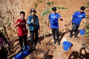 Ratusan Delegasi YCC Apeksi Tanam Pohon Tabebuya