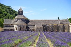 Read more about the article The Lavender Route of Provence: Small Villages in Bloom