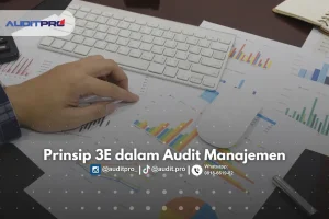 audit manajemen
