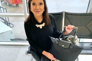 Stylish Carrying Case Corrals