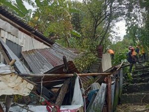 Pemprov Sulsel Gerak Cepat Beri Bantuan Warga Rumahnya Tertimpa Pohon di Parepare