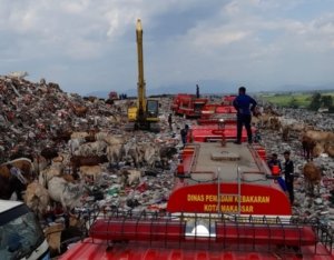 Kerahkan 14 Unit Armada