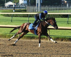 2018 Belmont Stakes Trifecta Picks - Tenfold