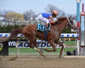 2018 Belmont Stakes Trifecta Picks - Vino Rosso