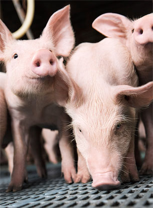 BASF invests in technology company SmartAHC