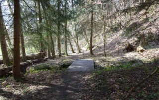 Rundwanderweg Limbach Klamm 4