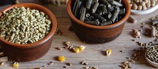 Global Mycotoxin Review: 2020 ANALYSIS AND OUTLOOK FOR 2021