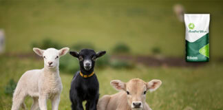 Biochem expands RumiPro product line