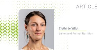 Dairy cow transition challenges: Holistic solution approach