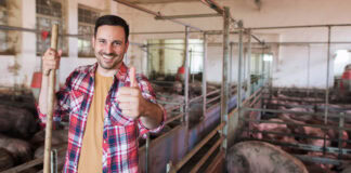 Feed Amino Acids and Global Market Status