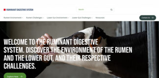 Lallemand launches ruminant digestive health program