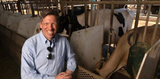 New study may clarify how seaweed cuts cow methane