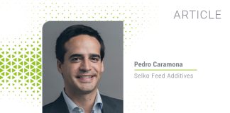 Safer feed for safer food: A model reveals how synergistic ingredients inhibit conidia growth and reproduction in animal feed
