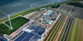 The Kingfish company founder and CEO Ohad Maiman transitions into advisory position