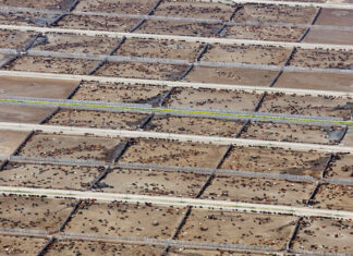 Yeni araştırma: Endüstriyel hayvancılık iklim hedeflerini zorluyor