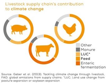 Calculating and optimizing environmental impact of livestock industry