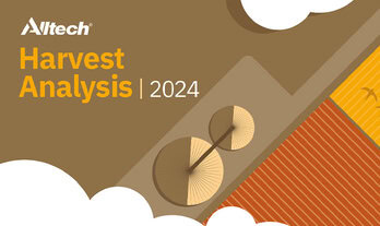 Alltech, 2024 Hasat Analizinin ilk sonuçlarını canlı yayında paylaşacak