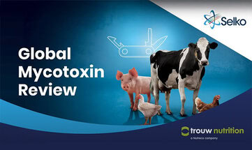 Selko reveals 2024 Global Mycotoxin Review findings