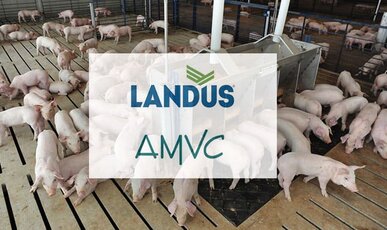 Landus, AMVC announce partnership on new feed mill project 