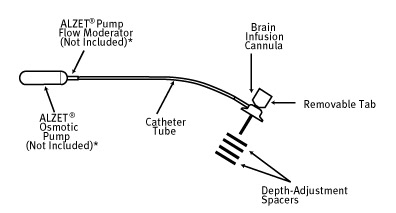 Schematic of the ALZET Brain Infusion Kit assembled with an ALZET Osmotic Pump