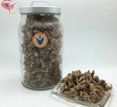 大號短爪圓泡參