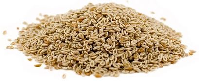 déjà, ça ressemble à ça, le psyllium. source: consostatic