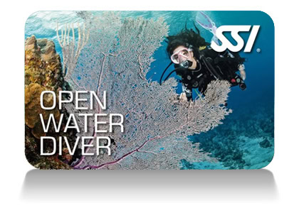 Open Water Diver Certification via SSI