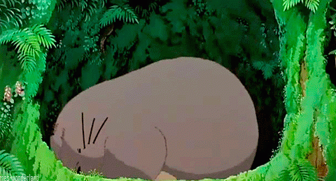 bonnes résolutions healthy sport 2017