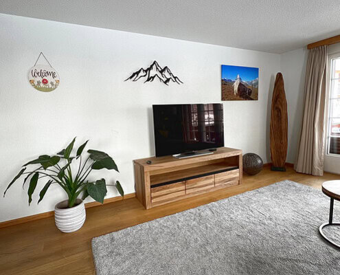 2 Zimmer Apartment TV Kommode