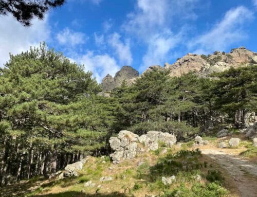 Klettern im Bavella Massiv auf Korsika