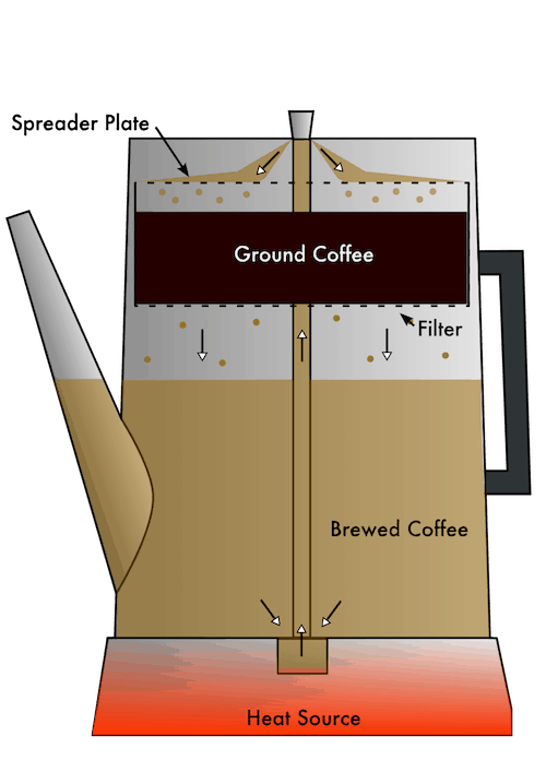 Diagram of an electric coffee percolator in cross-section