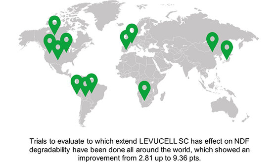 Precision feeding: LEVUCELL SC fiber-effect to support sustainable cost-effective formulation